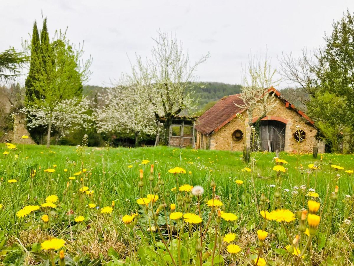 Les Cèdres du Linard, Chambres d'Hôtes B&B Near Lascaux, Montignac, Sarlat-la-Canéda, Dordogne La Chapelle-Aubareil Esterno foto