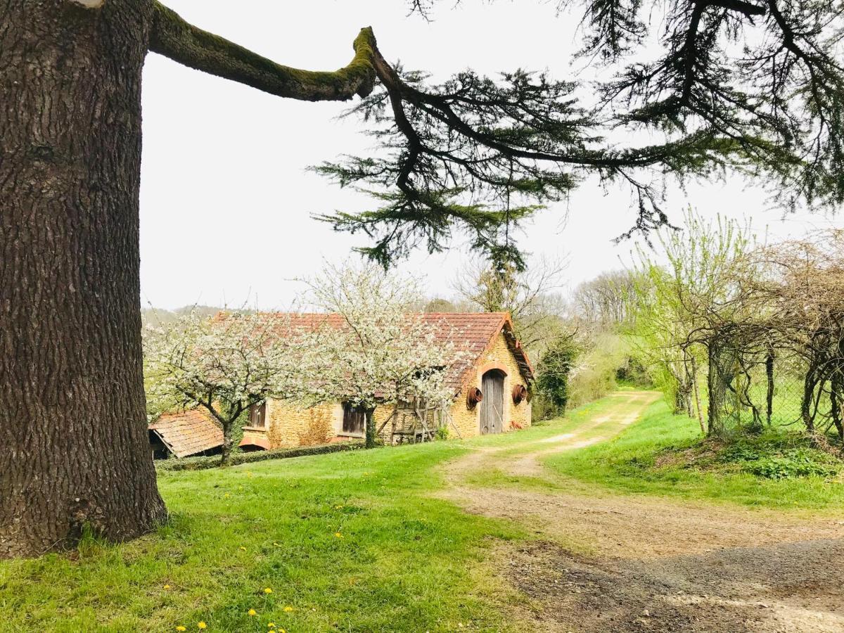 Les Cèdres du Linard, Chambres d'Hôtes B&B Near Lascaux, Montignac, Sarlat-la-Canéda, Dordogne La Chapelle-Aubareil Esterno foto