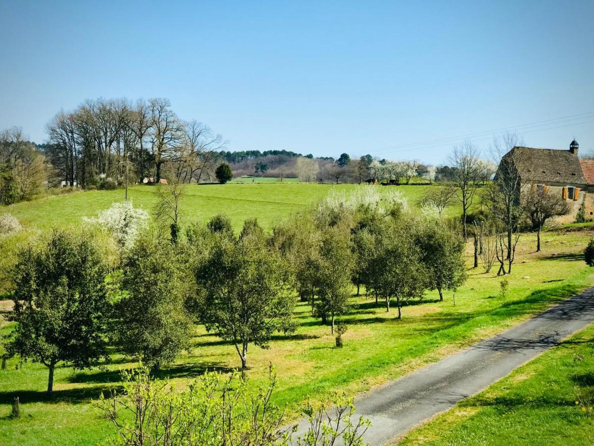 Les Cèdres du Linard, Chambres d'Hôtes B&B Near Lascaux, Montignac, Sarlat-la-Canéda, Dordogne La Chapelle-Aubareil Esterno foto